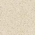 Ivory Shimmer (2242)